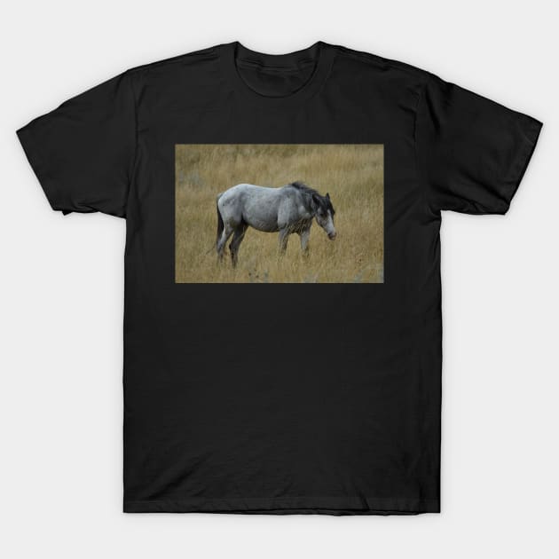 Grey Wild Horse T-Shirt by MarieDarcy